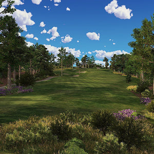 Micro Golf Swing and Practice Simulator - Premium